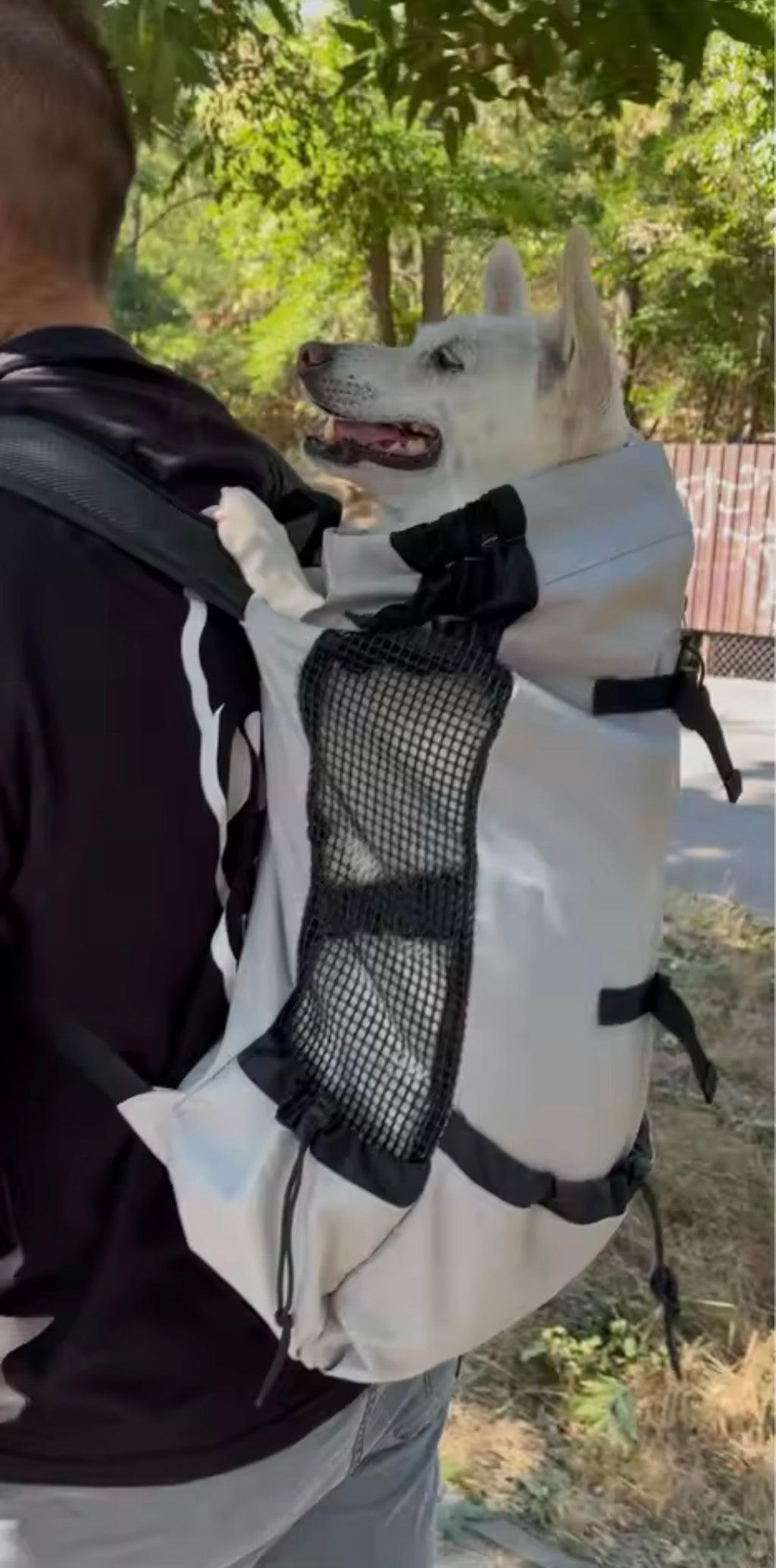 NomadCarry — Sac à Dos de Transport pour Chien