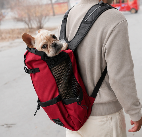 NomadCarry™ — Soulevez et partez