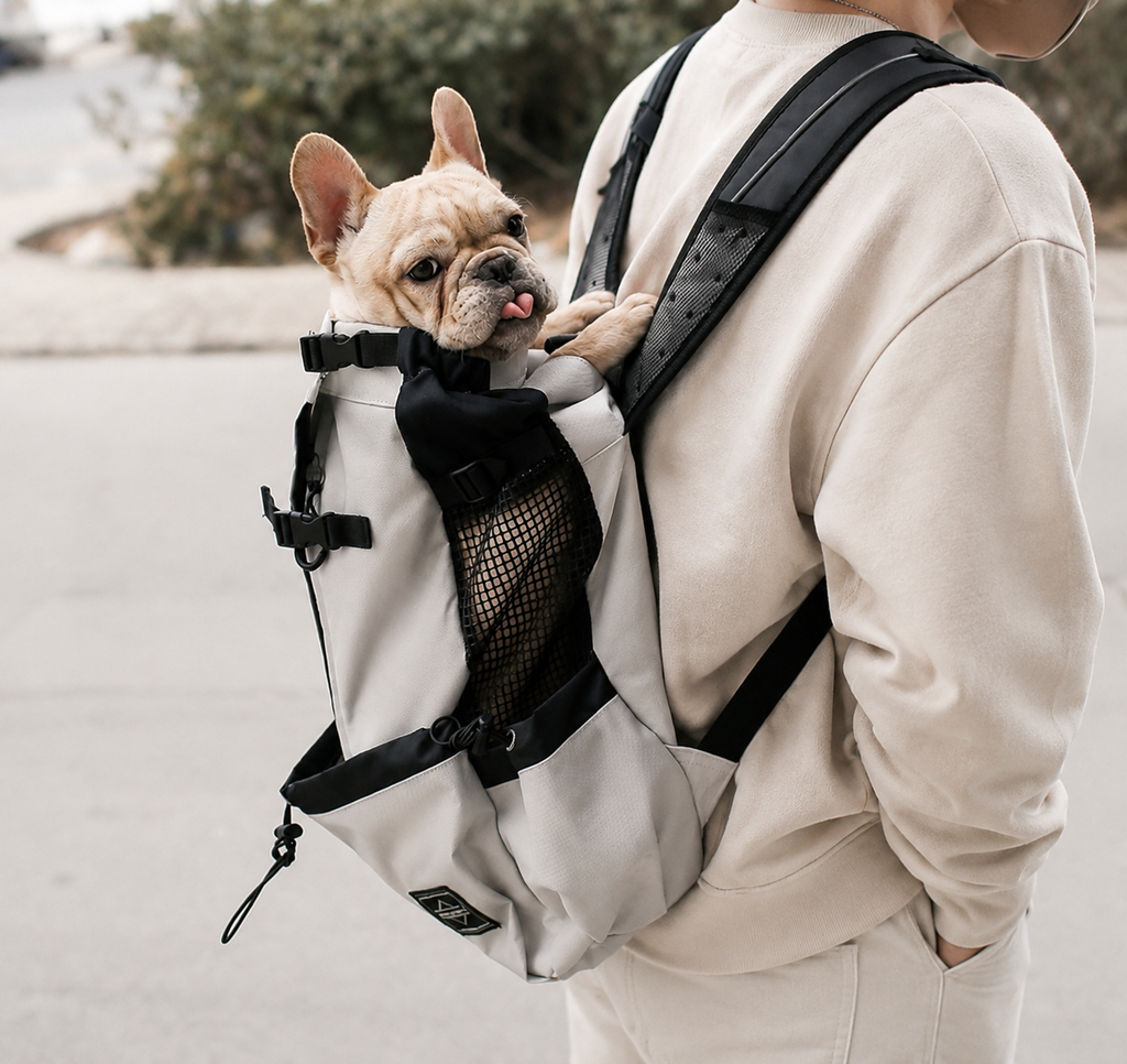 NomadCarry™ — Soulevez et partez