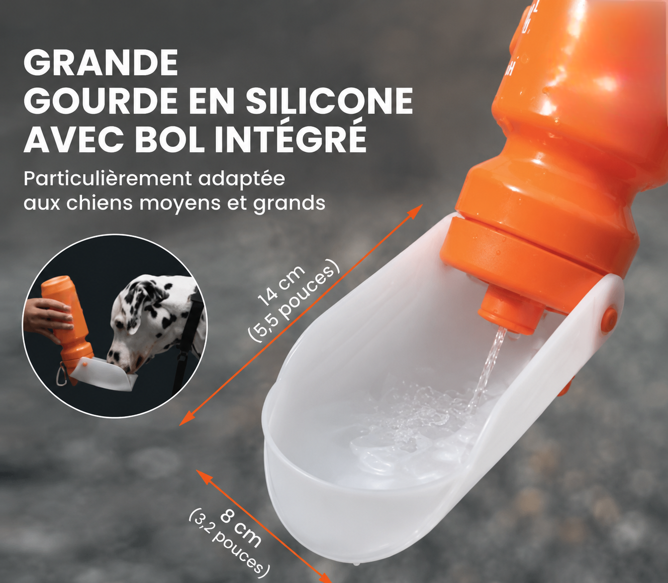 NomadBottle — Gourde avec bol intégré 1L