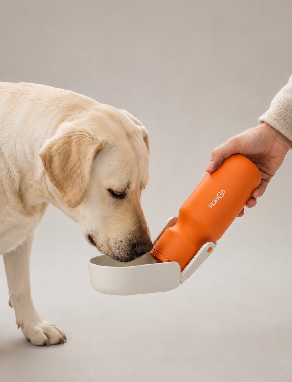 PawBottle ™